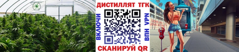 Дистиллят ТГК концентрат  Нововоронеж 