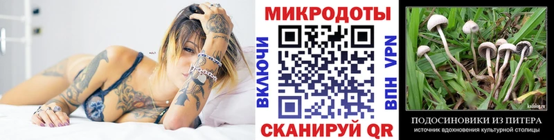 Галлюциногенные грибы Cubensis  Нововоронеж 