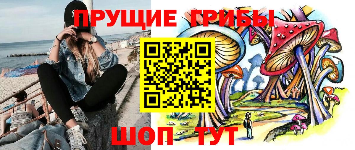 Нововоронеж  Псилоцибиновые грибы прущие грибы  Галлюциногенные грибы Psilocybine cubensis  Вход с VPN 