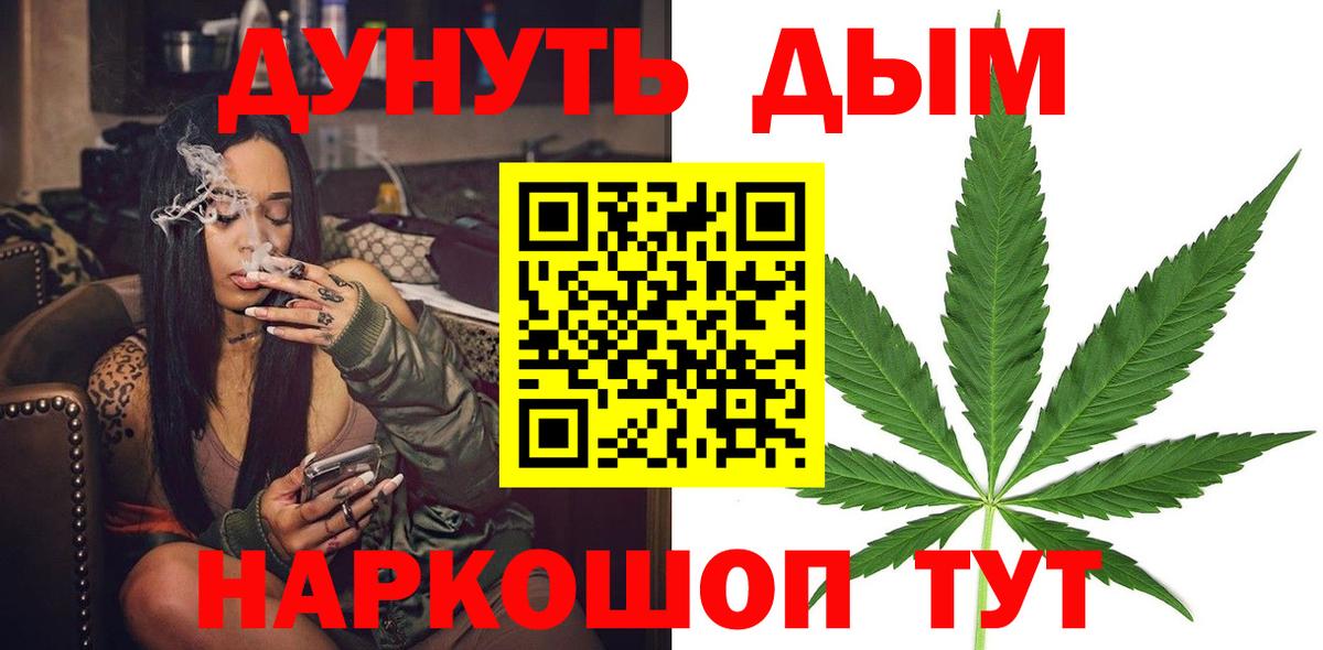 Шишки марихуана планчик Нововоронеж